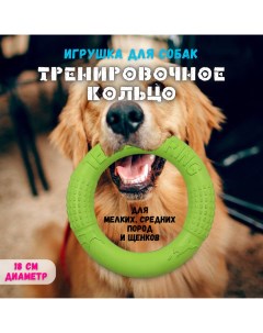 Игрушка для собак Апорт кольцо зеленый ЭВА 18 см Zdk
