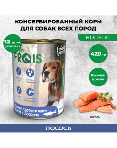 Консервы для собак HOLISTIC DOG мясные кусочки с лососем 12шт по 420г Frais