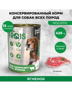Консервы для собак HOLISTIC кусочки с ягненком 12шт по 420г Frais