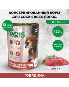 Консервы для собак HOLISTIC GOG мясные кусочки с говядиной 12шт по 420г Frais