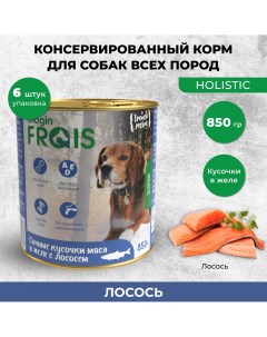 Консервы для собак Holistic мясные кусочки с лососем 6 шт по 850 г Frais