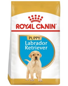 Сухой корм для собак Labrador Retriever Puppy для щенков лабродора 12 кг Royal canin