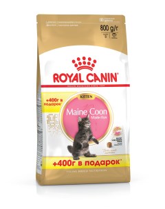 Сухой корм для котят Maine Coon Kitten мейн кун домашняя птица 0 8кг Royal canin