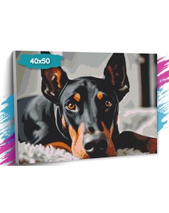 Картина по номерам Собака Доберман GK0279 Холст на подрамнике 40х50 см Tt
