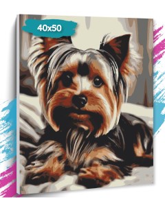 Картина по номерам Собака GK0278 Холст на подрамнике 40х50 см Tt