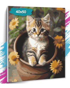 Картина по номерам Котик в кувшине GK0264 Холст на подрамнике 40х50 см Tt