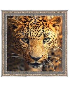 Алмазная мозаика Взгляд леопарда на подрамнике 40x50 см Art crystal