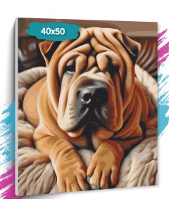 Картина по номерам Собака GK0320 Холст на подрамнике 40х50 см Tt