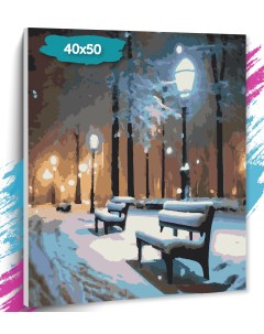 Картина по номерам Ночной зимний парк GK0308 Холст на подрамнике 40х50 см Tt