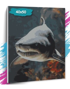 Картина по номерам Акула GK0207 Холст на подрамнике 40х50 см Tt
