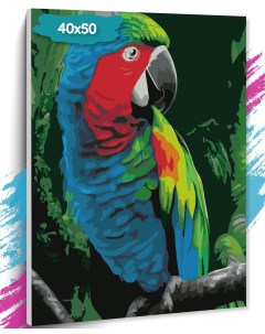 Картина по номерам Попугай GK0045 холст на подрамнике 40х50 см Tt