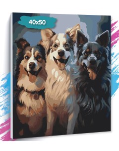 Картина по номерам Три собачки GK0410 Холст на подрамнике 40х50 см Tt