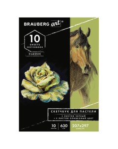 Альбом для пастели Art черный оливковый 20 7х29 7 4 см 5 5 листов 105923 Brauberg