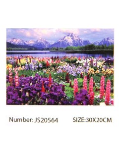 Алмазная мозаика Горное озеро JS20564 полная выкладка на подрамнике 20x30 см Nobrand