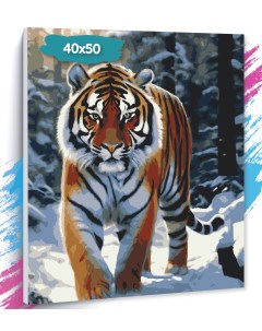 Картина по номерам Тигр 2 GK0419 Холст на подрамнике 40х50 см Tt