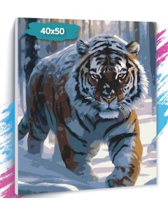 Картина по номерам Тигр 1 GK0418 Холст на подрамнике 40х50 см Tt