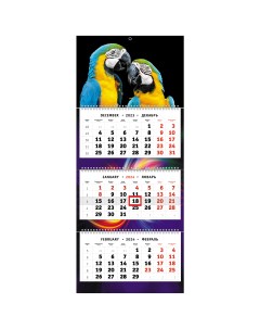 Квартальный календарь Яркий дуэт трио на 2024 год 315х750 мм Nobrand