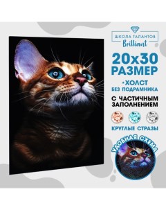 Алмазная мозаика с частичным заполнением Взгляд кошки 20х30 см на холсте Nobrand
