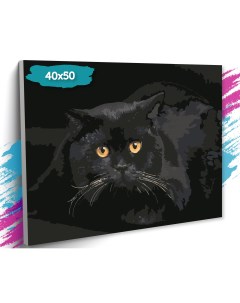 Картина по номерам Черная кошка GK0026 холст на подрамнике 40х50 см Tt