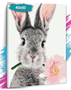 Картина по номерам Кролик GK0015 холст на подрамнике 40х50 см Tt