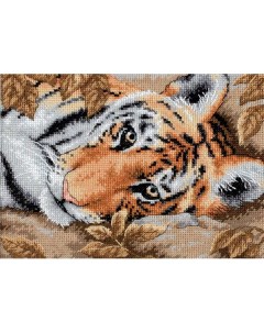 Набор для вышивания Притягательный тигр Dimensions