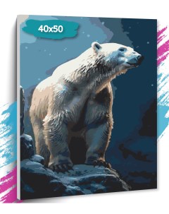 Картина по номерам Медведь GK0230 Холст на подрамнике 40х50 см Tt