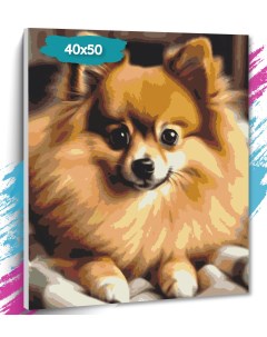 Картина по номерам Собака GK0323 Холст на подрамнике 40х50 см Tt