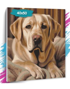 Картина по номерам Собака GK0321 Холст на подрамнике 40х50 см Tt