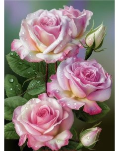 Алмазная мозаика Розовые розы с каплями росы на подрамнике 40x50 GA75026 Boomboomshop