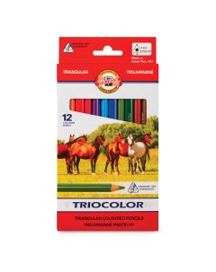 Карандаши цветные утолщенные Triocolor трехгранные 12 цветов Koh-i-noor