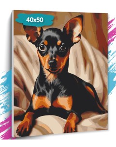 Картина по номерам Собака GK0272 Холст на подрамнике 40х50 см Tt