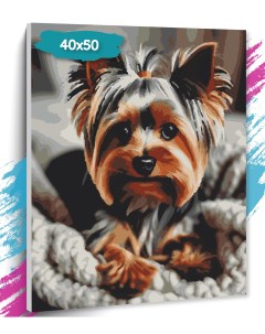 Картина по номерам Собака GK0277 Холст на подрамнике 40х50 см Tt