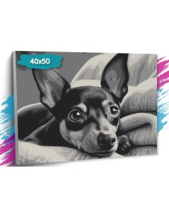 Картина по номерам Собака GK0275 Холст на подрамнике 40х50 см Tt