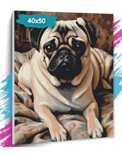 Картина по номерам Собака GK0273 Холст на подрамнике 40х50 см Tt
