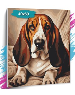 Картина по номерам Собака GK0271 Холст на подрамнике 40х50 см Tt