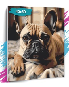 Картина по номерам Собака GK0274 Холст на подрамнике 40х50 см Tt