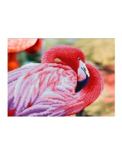 Алмазная мозаика Розовый фламинго 15 цветов Рыжий кот