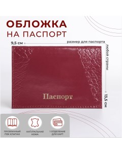 Обложка для паспорта цвет лиловый Nobrand
