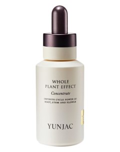 Увлажняющая и обновляющая сыворотка концентрат для лица Whole Plant Effect Concentrate 40ml Yunjac