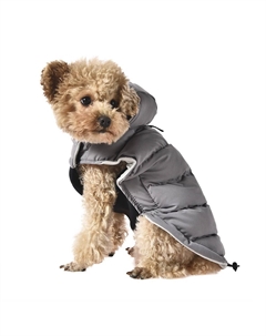 Попона для собак с козырьком Frost and sun серая р. L (длина спины 40см, обхват груди 57-63см) Foxie