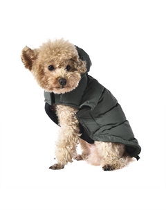 Попона для собак Frost and sun с козырьком зеленая р. XXL (дл.спины 50см, обхват груди 62-68см) Foxie