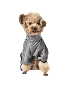 Комбинезон для собак Sport team S (длина спины 30см, обхват груди 47-53см) серый Foxie