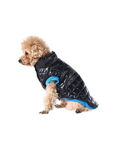 Жилет для собак Gloss XL (длина спины 45см, обхват груди 62-68см) черный Foxie