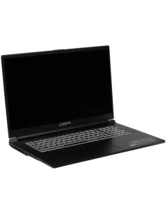 Ноутбук NEO G17 черный G17 I5ND301 Ardor gaming