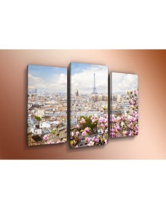 Модульная картина триптих Весенний Париж ТР1619 60x80 см Добродаров
