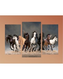 Модульная картина триптих Кони ТР2065 60x80 см Добродаров