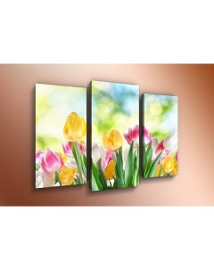 Модульная картина триптих Краски весны ТР49 60x80 см Добродаров