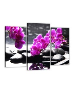 Модульная картина Пурпурные орхидеи 60х80 см Добродаров