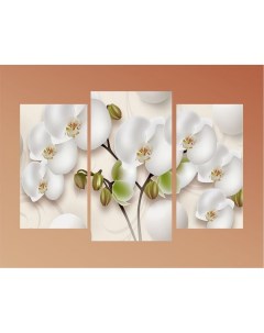 Модульная картина триптих Белоснежные орхидеи ТР2269 60x80 см Добродаров