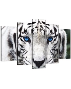 Модульная картина Белый тигр Животные 80х140 см Добродаров